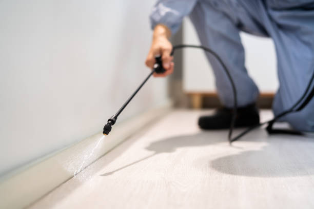 Bed Bug Pre-Treatment Preparation Assessment in Falconer