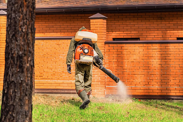 Bed Bug Clearance Verification and Documentation in Falconer